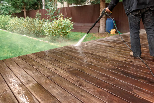 Best Solar Panel Cleaning  in Blountsville, AL